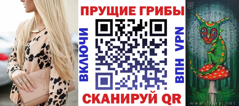 магазин продажи   Красавино  Псилоцибиновые грибы мицелий 
